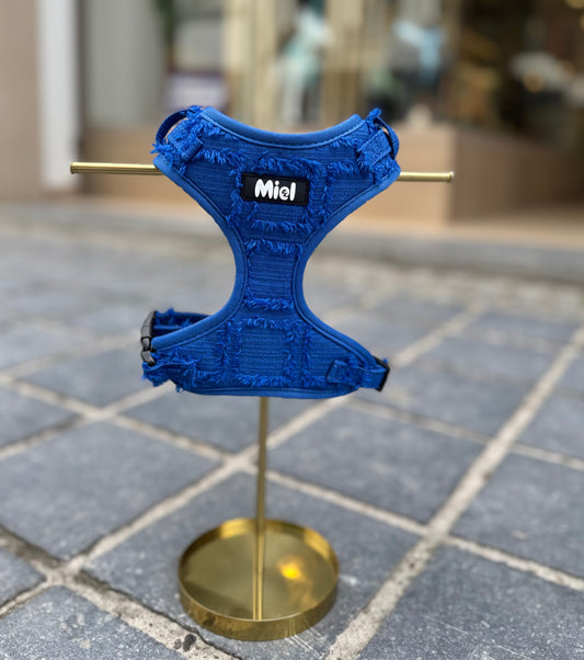 Harnas Fray Royal Blue