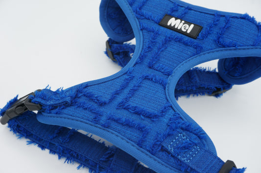 Harnas Fray Royal Blue