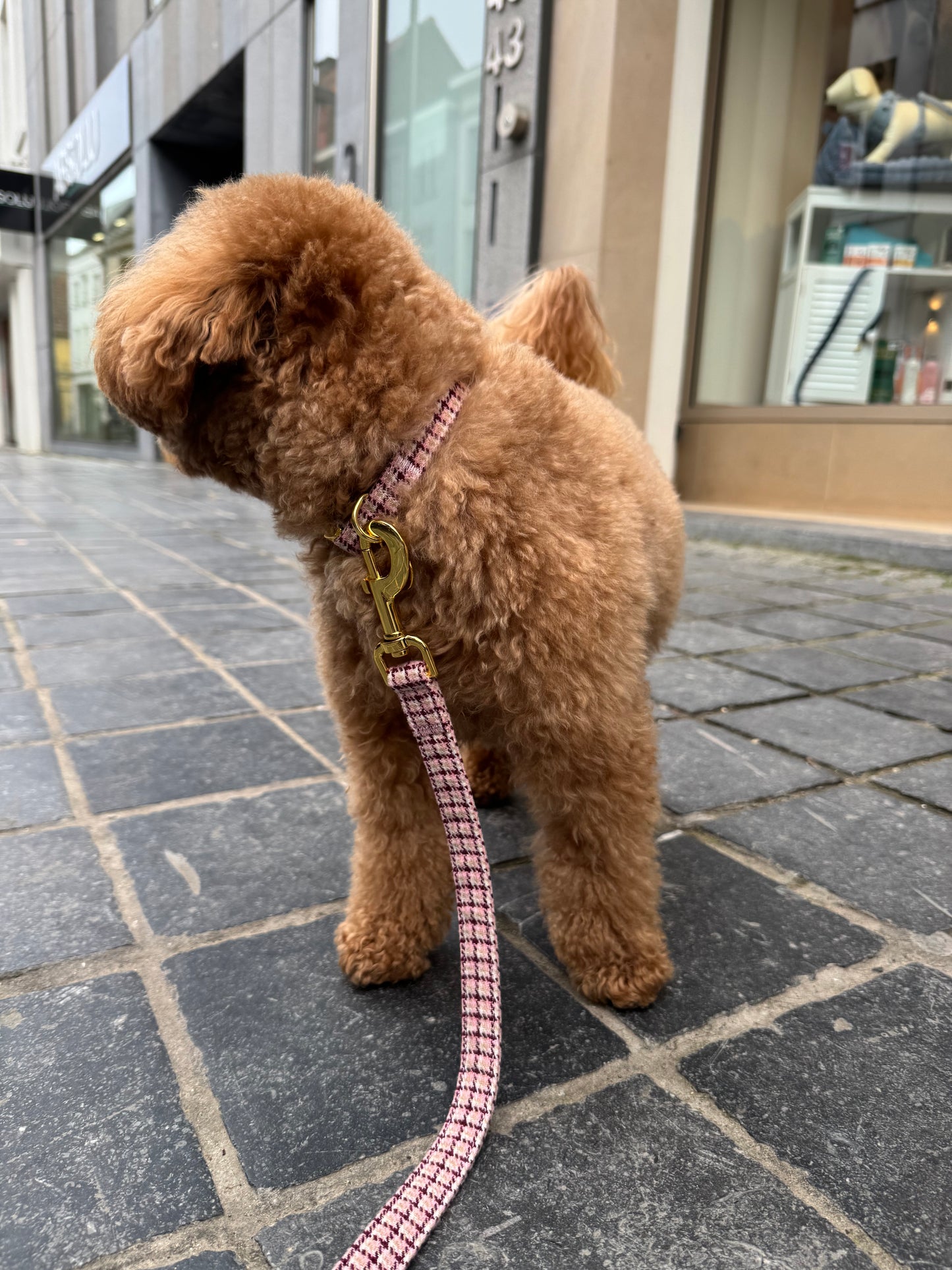 Carre Leash Pink