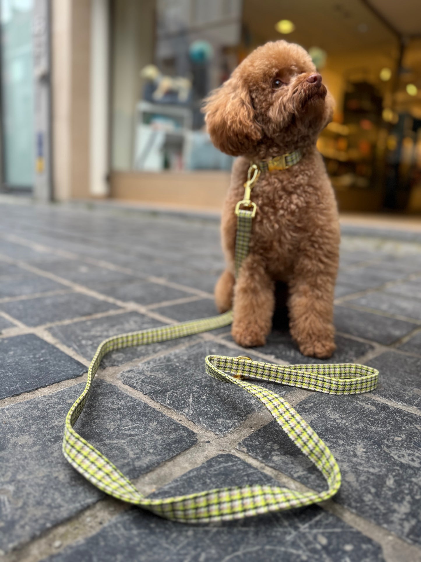 Carre Leash Green