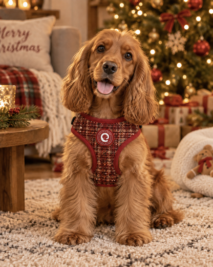 Tweed Harness Burgundy