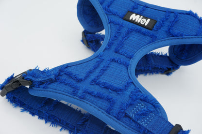 Harnas Fray Royal Blue